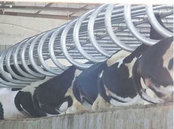 地元のサービス場所 牛乳栽培機器のソリューションに使用される溶接プロセスはありません